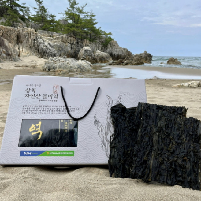 근덕농협 강원도 삼척 동해안 자연산 돌미역, 1개, 200g