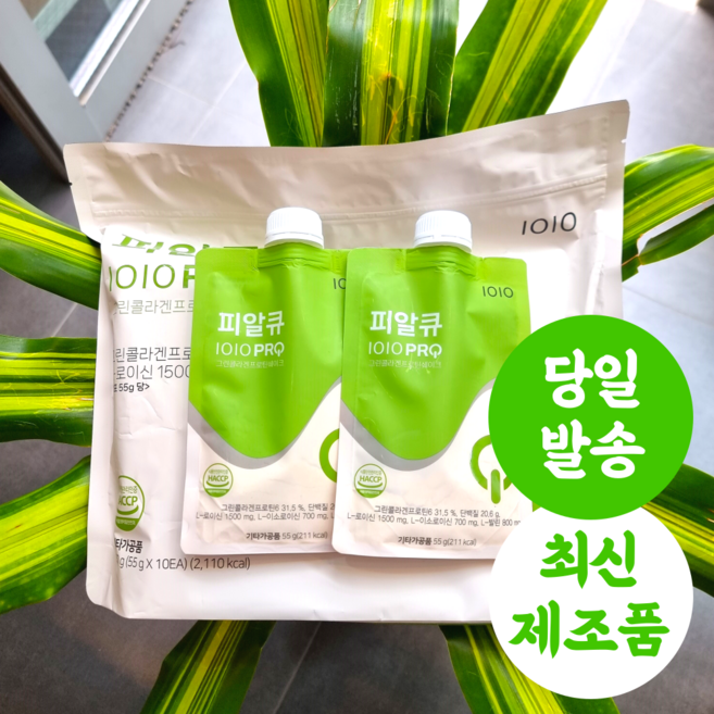 1010 일공일공 피알큐 PRQ 식사대용, 10개, 55g