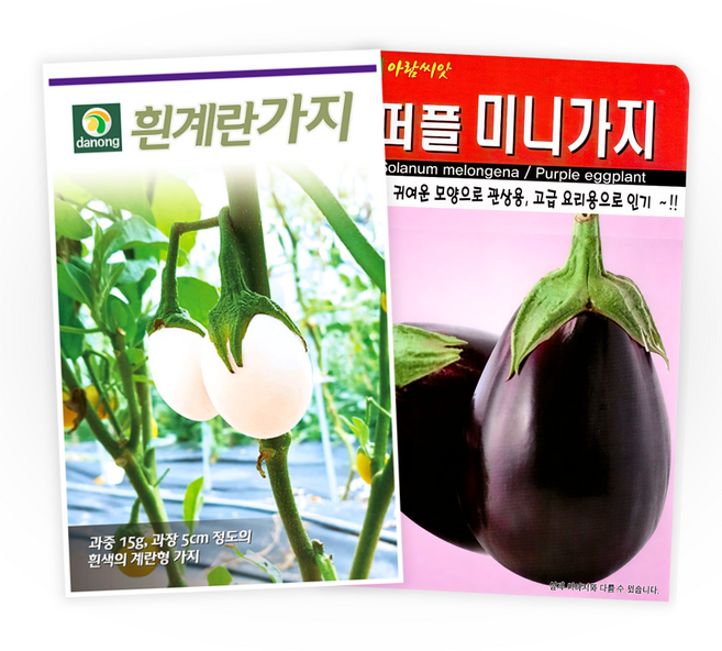 주주씨앗 미니가지씨앗 2종세트 둥글고 작은 계란 가지 씨 흰색 보라색 화이트 퍼플 가지 씨 종자 채소씨앗, 1개