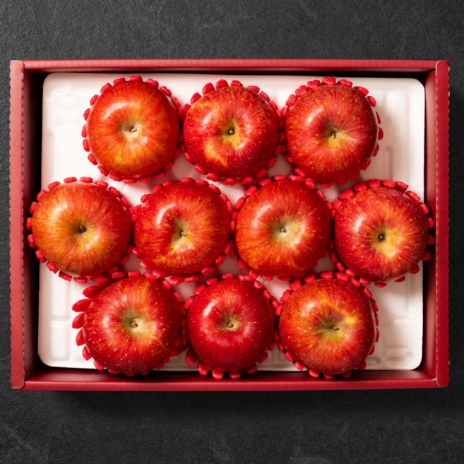 [명절특가] 초고당도 고급 과일 선물세트, 1세트, (1호) 3kg 사과 선물세트 (9-11과)