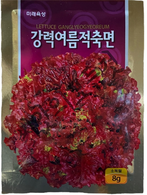여름적축면 상추 씨앗 8g 고온기 꽃상추 종자 강력여름적축면 미래종묘, 1개