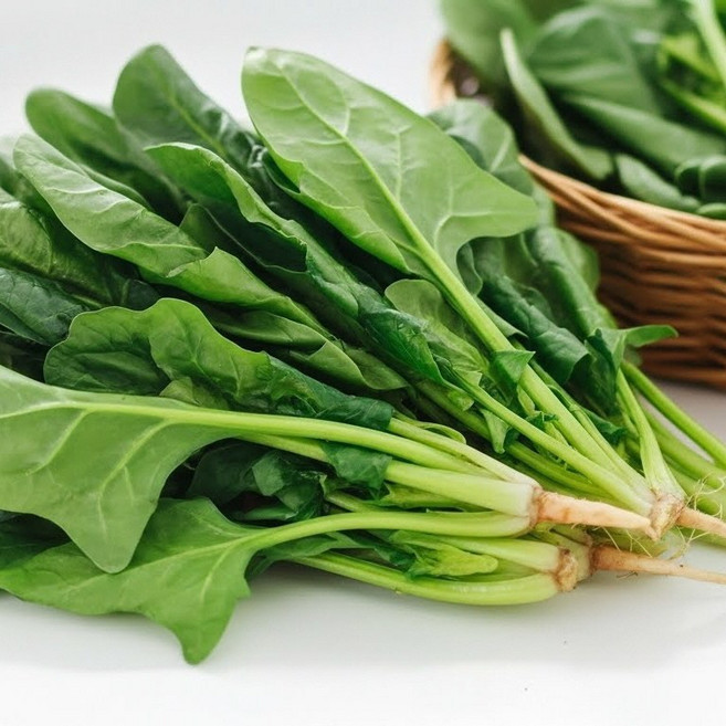 남해 시금치 섬초 보물초 노지 비금도 시금치 500g 1kg 2kg, 남해 시금치 남해섬초 500g