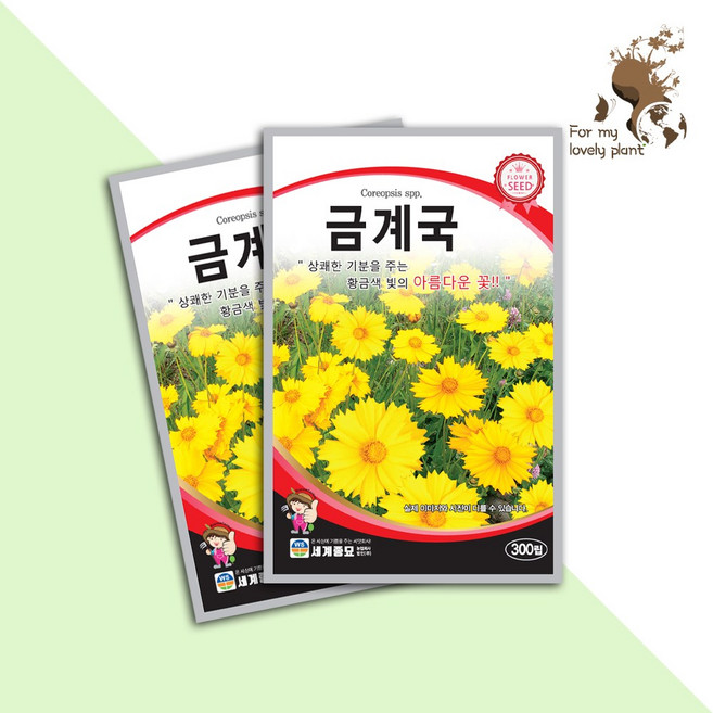 금계국 300립 세계종묘 화훼류 씨앗, 1개