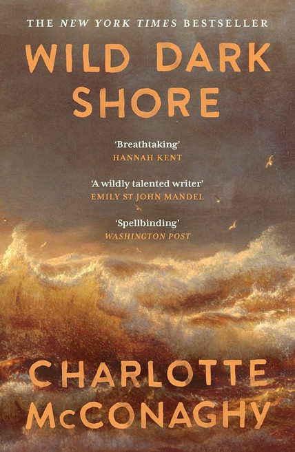 Wild Dark Shore, McConaghy, Charlotte(저), Canongate Books