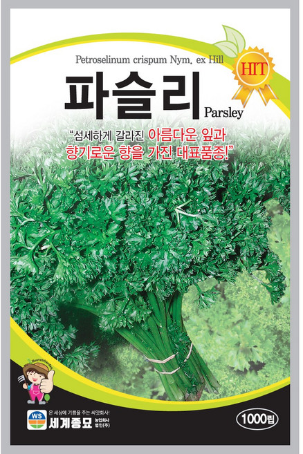파슬리 1000립 씨앗 /세계종묘 씨앗, 1봉