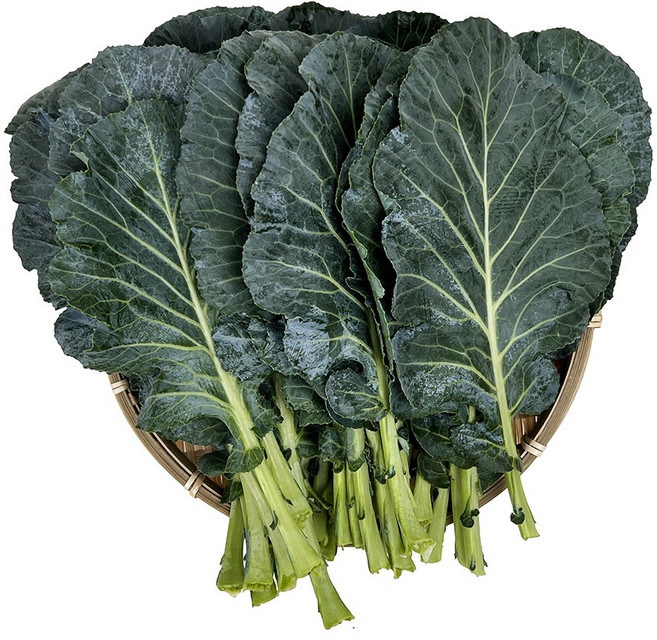 국내산 케일 신선초 녹즙채소 착즙주스 쌈채소, 1개, 2kg