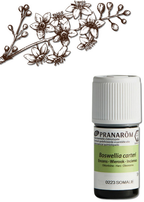 (정품) 프라나롬 프랑킨센스 아로마 오일, 2개, 5ml