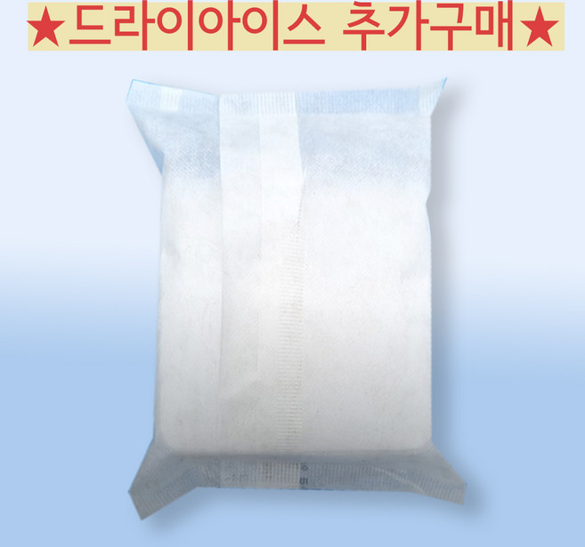 드라이아이스 625g [단독출고불가능-냉장 냉동 제품과 함께 출고되는 상품입니다.], 1개