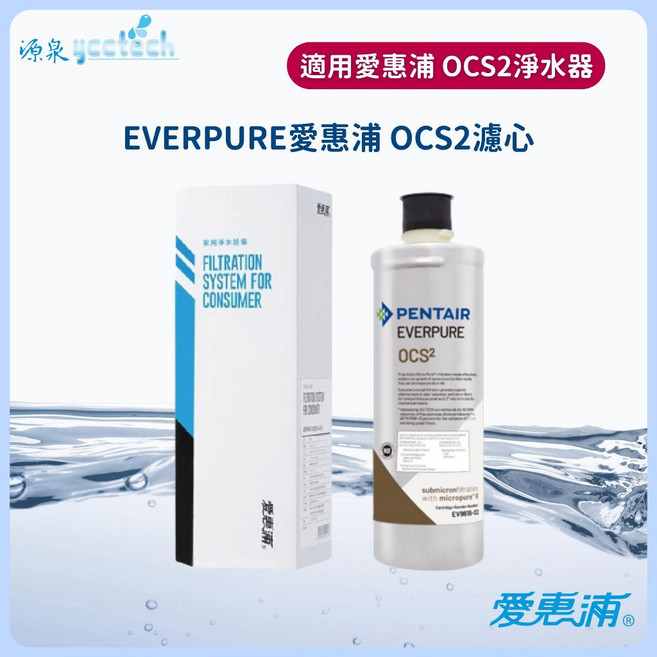 EVERPURE 愛惠浦 OCS2 濾心 (原廠公司貨 有雷標 有紙盒), 1個