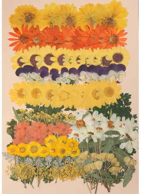 압화공예 압화종합팩 K503