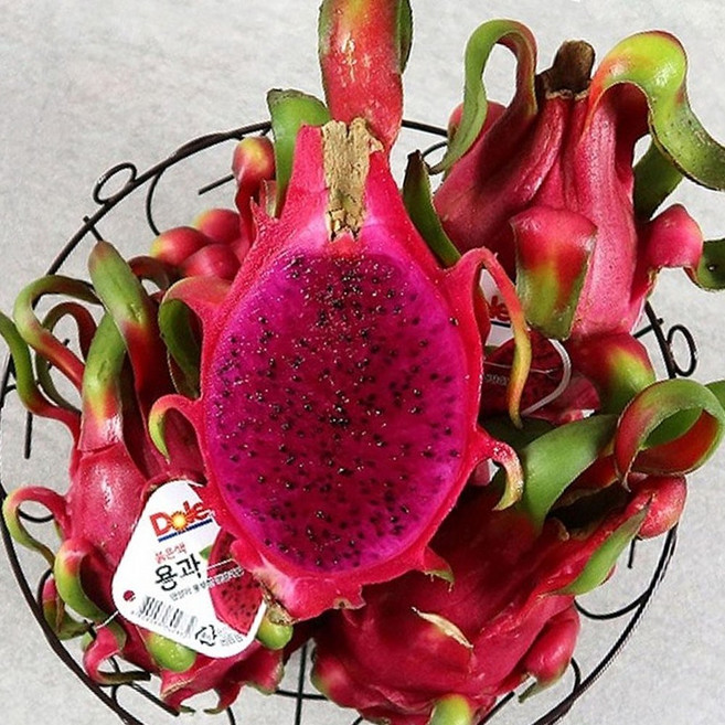 베트남 레드 용과 적용과 빨간용과 베트남 용과 드래곤후르츠 드래곤푸르츠 베트남 과일, 1개, 2.5kg 3-5과