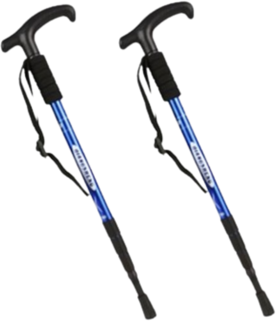 라넥토 등산스틱 2개세트 듀랄루민 접이식, 1세트, BLUE