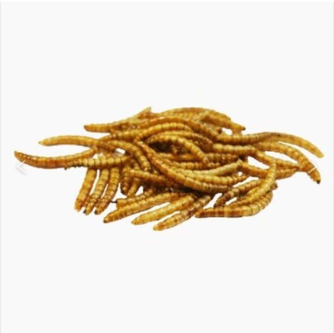 Pet Village小動物零食 麵包蟲蠶蛹點心, 1個, 黃金蛋白黃粉蟲 35g