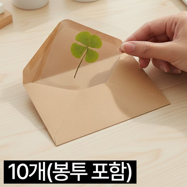 디심플 행운 네잎클로버 코팅 카드 봉투 포함, 10개