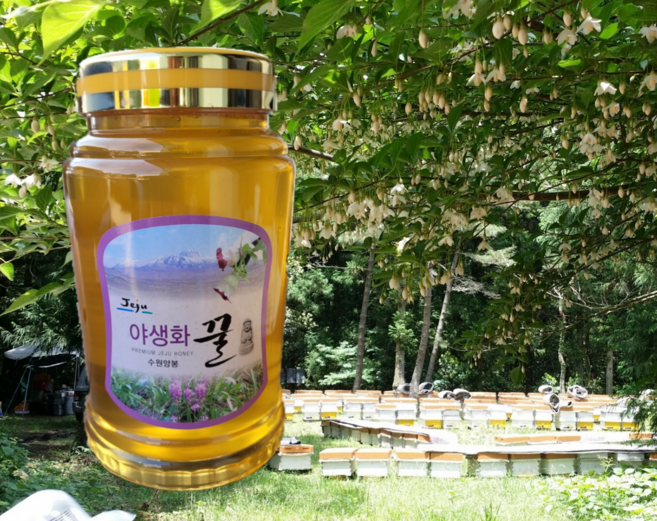 제주 벌꿀 야생화 꿀 2.4kg 잡화꿀, 1개