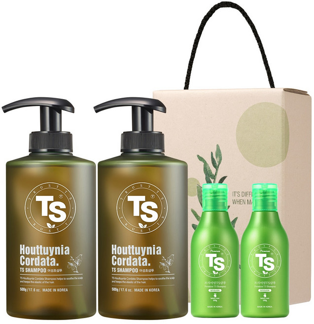 TS 어성초샴푸 500g x 2개 & 프리미엄샴푸 100g x 2개, 1개