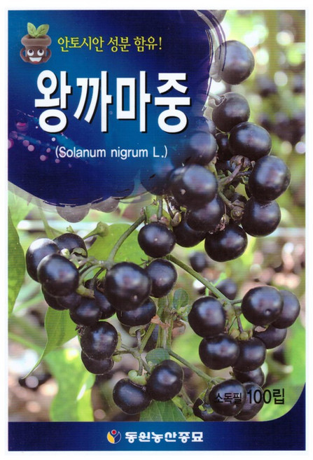 영농사 왕까마중 씨앗 100립 까마중 종자 안토시안 성분, 1개