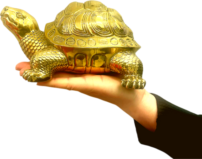 황금거북이 풍수 무병 장수 집들이 인테리어, 특대형, 1개