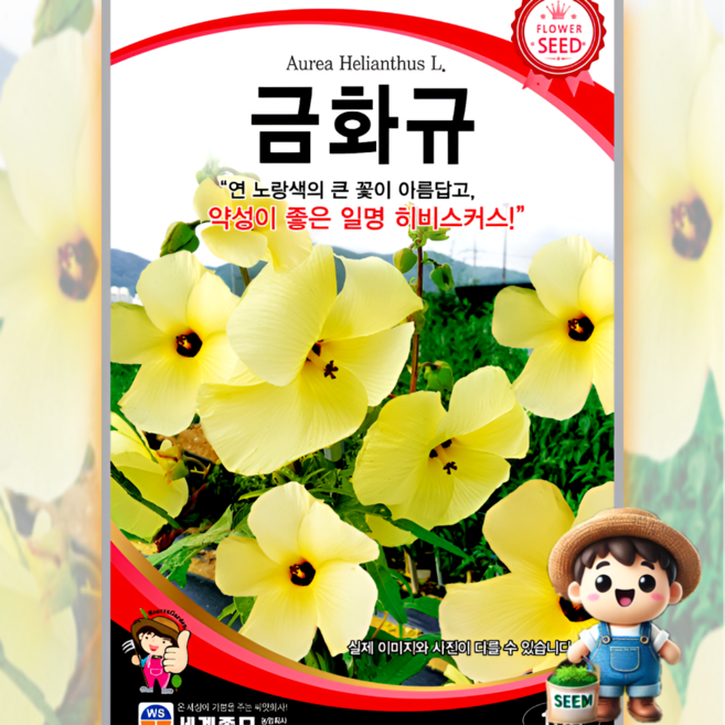 남흥원예사 금화규 10립 원예 관상 조경 화단 용 꽃 씨 씨앗 종자 세계종묘, 1개