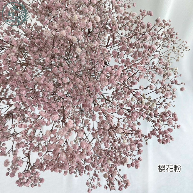 大好屋 永生滿天星 小束裝, 不凋滿天星, 櫻花粉
