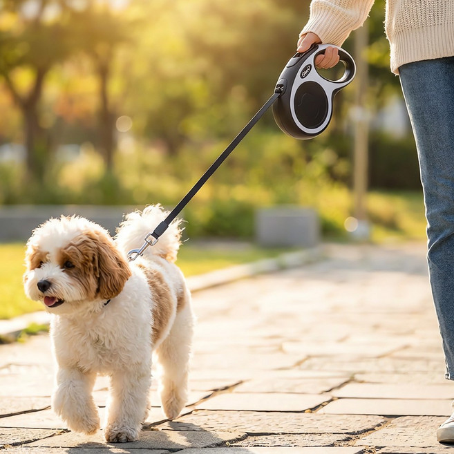 Jeernare 3M 5M 튼튼한 강아지 자동리드줄 꼬임방지 강아지 산책줄 길이조절 강아지줄 개줄, 1개, 블랙 화이트
