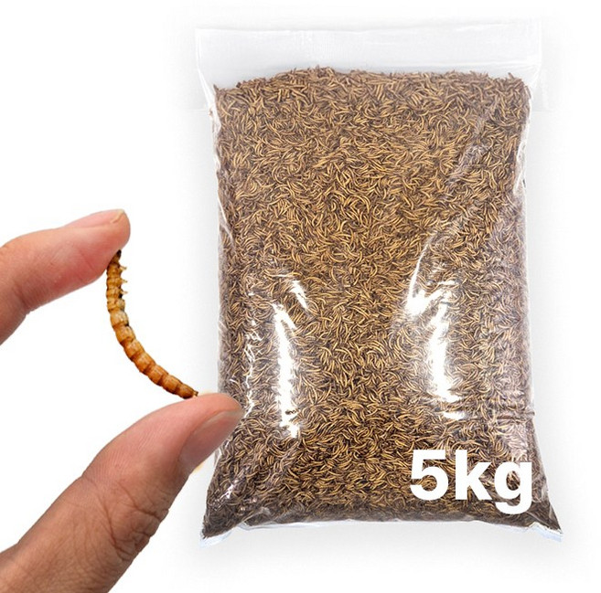 그로비타 건조밀웜 초대용량 5KG, 1개