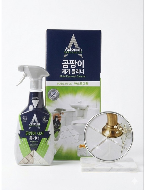 [아스토니쉬 곰팡이 제거제 750ml] 1개, 750L