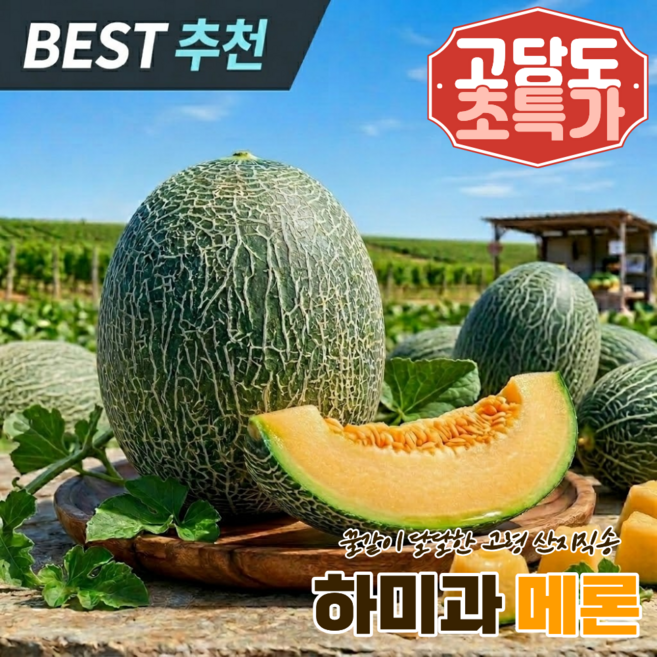 [꿀당도보장] 황제가 반한 하미과메론 고령산지직송, 1박스, 로얄 5kg