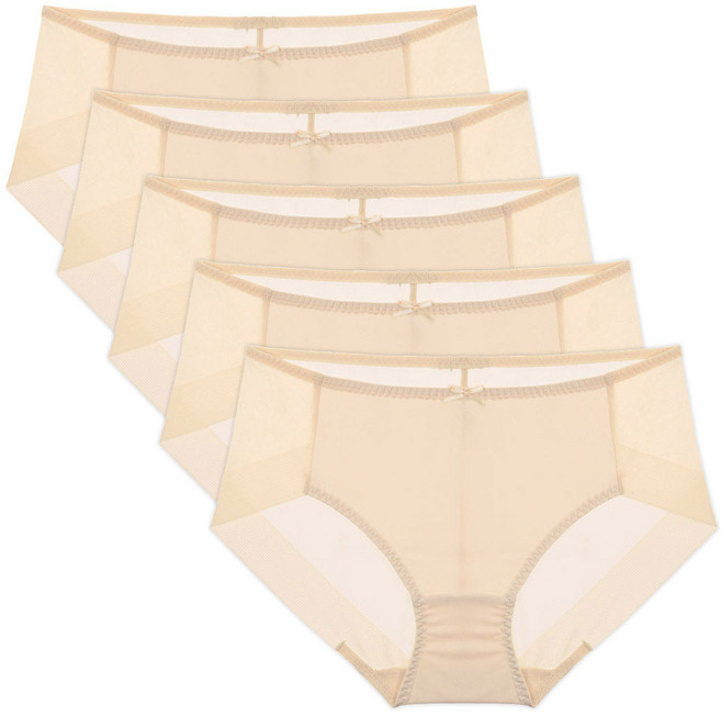 엘라운지 노라인 맥시 햄팬티 5종세트