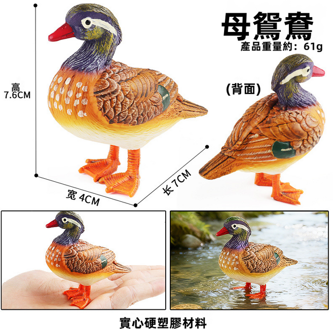 仿真實心動物模型玩具家禽動物套裝金毛犬山羊公雞馬豬牛擺件, 1個, M-2890鴛鴦（雌鳥）:1499