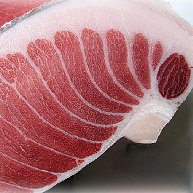 참다랑어뱃살 눈다랑어 황새치 뱃살 참다랑어 뽈살 냉동, 1개, 참다랑어 배꼽살1팩(200g)