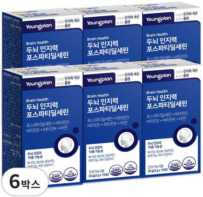 영진약품 두뇌 인지력 포스파티딜세린 분말 식약청인증, 30g, 6박스