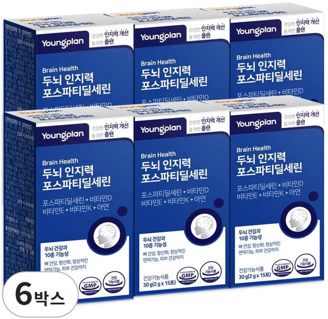영진약품 두뇌 인지력 포스파티딜세린 분말 식약청인증, 30g, 6박스 - 쿠팡