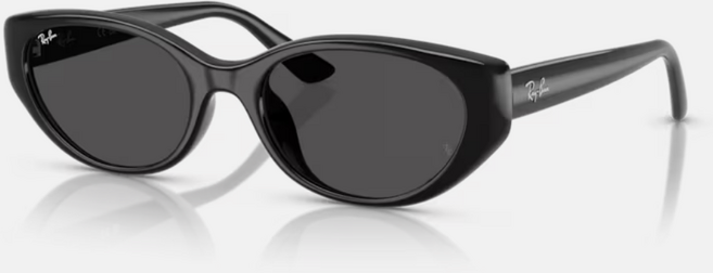 Ray-Ban 雷朋 RB4457D 貓眼膠框太陽眼鏡 55mm 全台專櫃服務