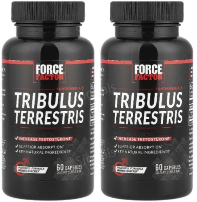 포스팩터 트라블러스 테러스트리스 테스토스론 부스터 60 캡슐, 2팩, 60정