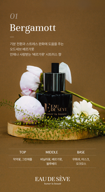 오드세브 자동차 디퓨저 수입 차량용 디퓨저 외제차 방향제 본품 선물 세트(방향제120ml + 선물용쇼핑백 + 뚱섬유스틱 + 롱섬유스틱 +시향지5종), 1세트, 베르가못