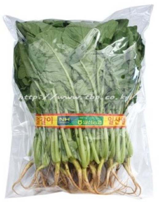 P-60 PP열무한단 무지 370x500+40 (1000매) 채소 과일 농산물 비닐 태방 숨쉬는필름, 1개