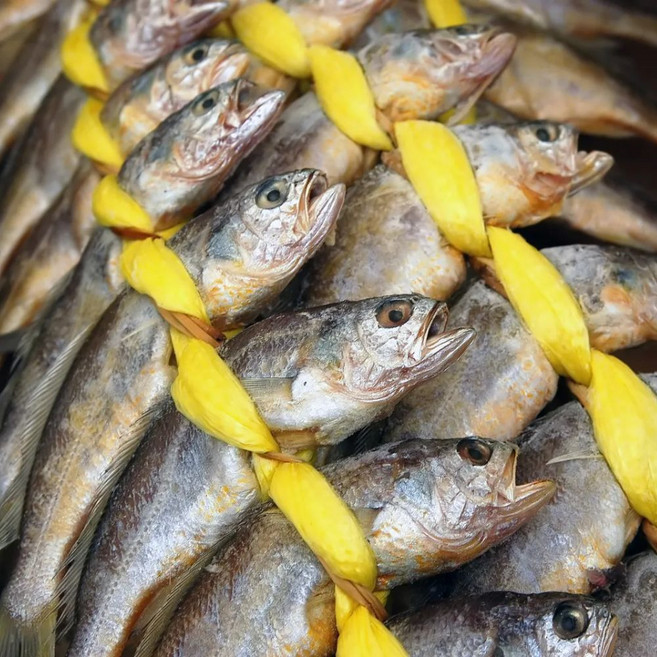 [베셀코] 법성포 영광 참굴비, 20개, 1.5kg내외(엮음)