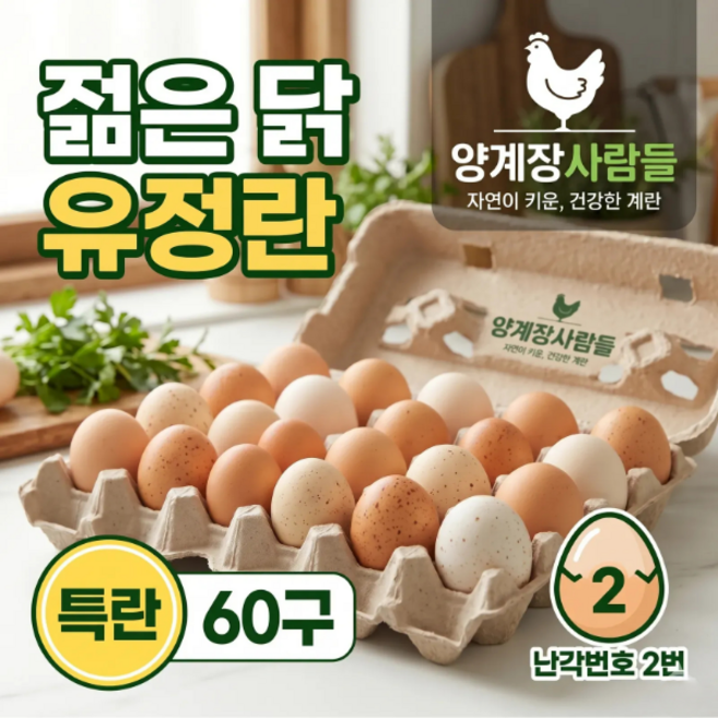 [양계장사람들] 난각번호2번 젊은 닭 유정란 특대란 계란 60구, 1개