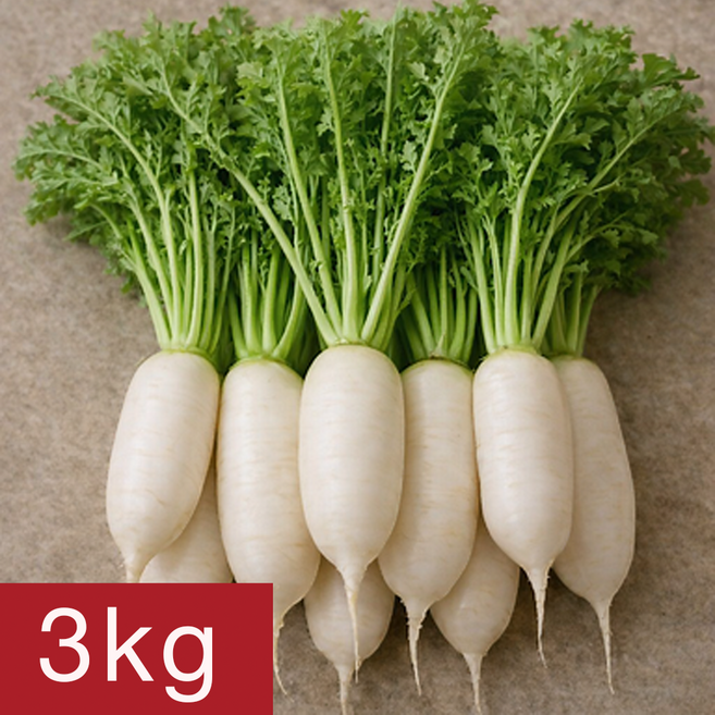 [여수시골농장] 당일제조 국내산 여수 알타리무, 1개, 3kg