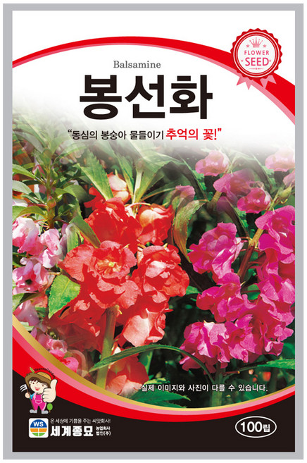 모칸도 봉선화 씨앗 100립 세계종묘 꽃씨 꽃씨앗, 1개
