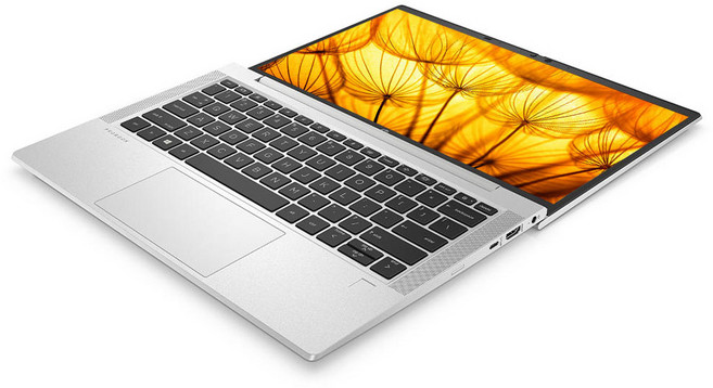 초슬림 초경량 HP 프로북 635 Aero G8 AMD 라이젠5 R5 DDR4 가성비 사무용 업무용 A급 중고, Probook 635 Aera G8, WIN11 Pro, 16GB, 256GB, 실버