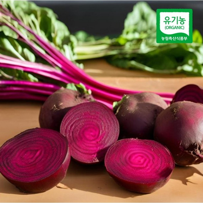 신선한 해남 친환경 유기농 햇 레드비트, 1박스, 5kg