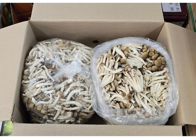 국내산 나주 산지직송 벌크 만가닥버섯 2kg 4kg 알뜰농장, 1개, 4kg내외(1+1)