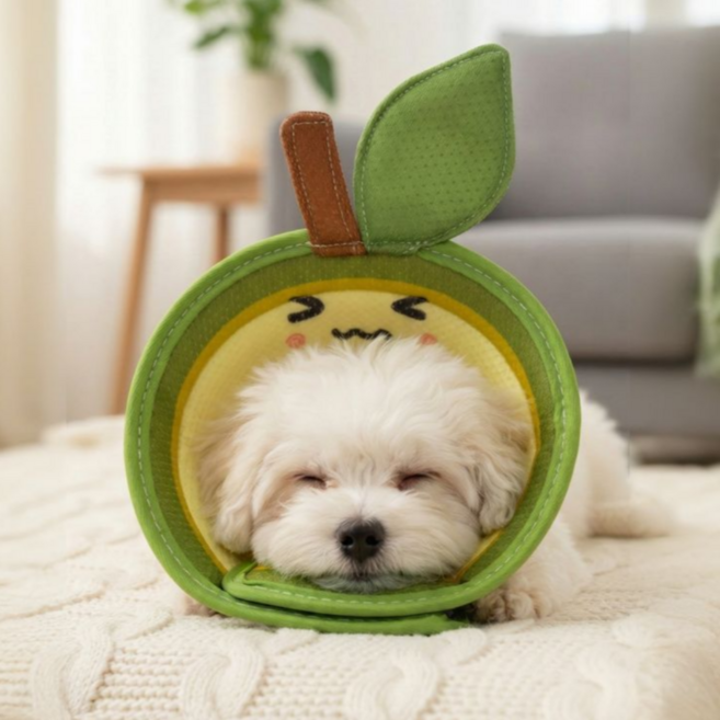 드림베이스 초경량 넥카라 반려동물 3D 통기형 상처 보호 전용 중성화 강아지 고양이 겸용, 그린아보, 1개