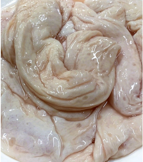 (한마음 미트)국내산 프리미엄 세척 냄새안나는돼지막창 돼지내장 원물 생막창 1/2/5/10kg 업소용 캠핑용 (냉동), 1개, 5kg