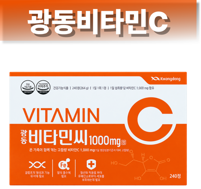 광동제약 비타민C 1000mg 8개월분, 240정, 1개