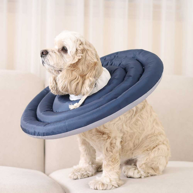 두유레디 강아지 넥카라 고양이 겸용 방수, 1개, 투톤