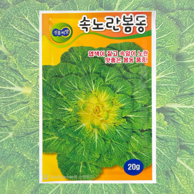봄동씨앗 20g 26년포장 맛있는 속노란봄동 진흥종묘