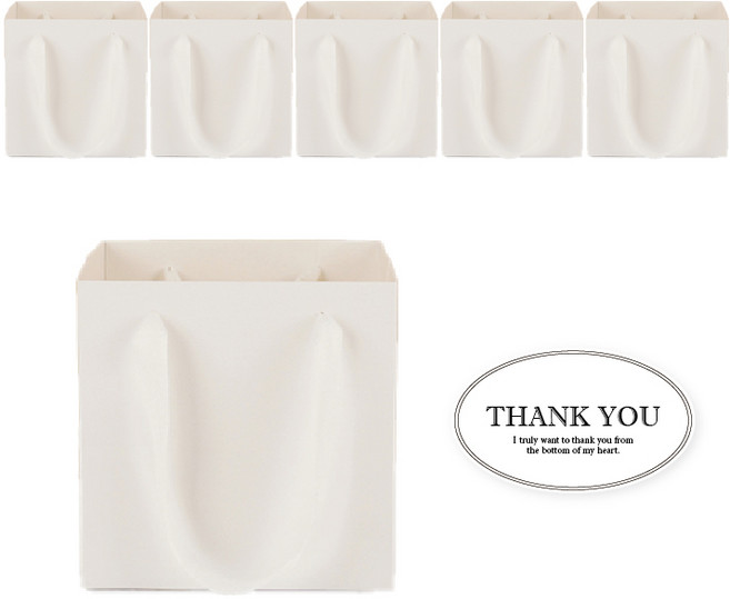 빛공 정사각 고급 미니 선물 쇼핑백 종이가방, 6개, 올화이트